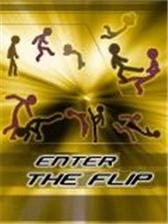 game pic for Enter The Flip
